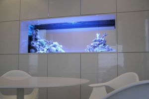 Aquarium Nice